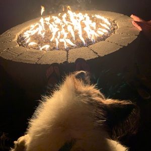 Meet your Posher, Carly